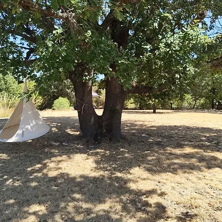 Bed & Breakfast Du Plos